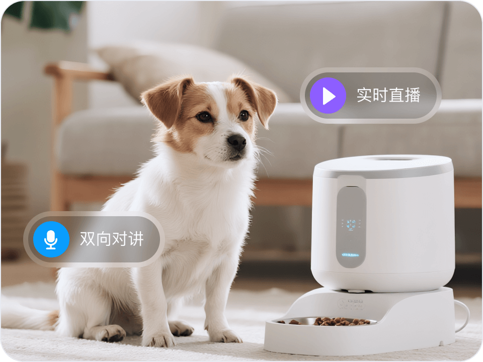 互动陪伴